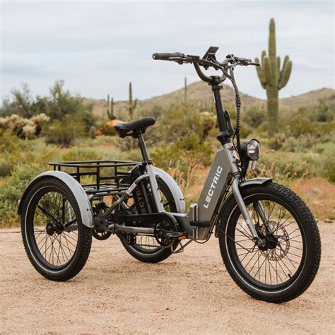 10 Best Tricycles for Adults Reviewed (Winter 2024)